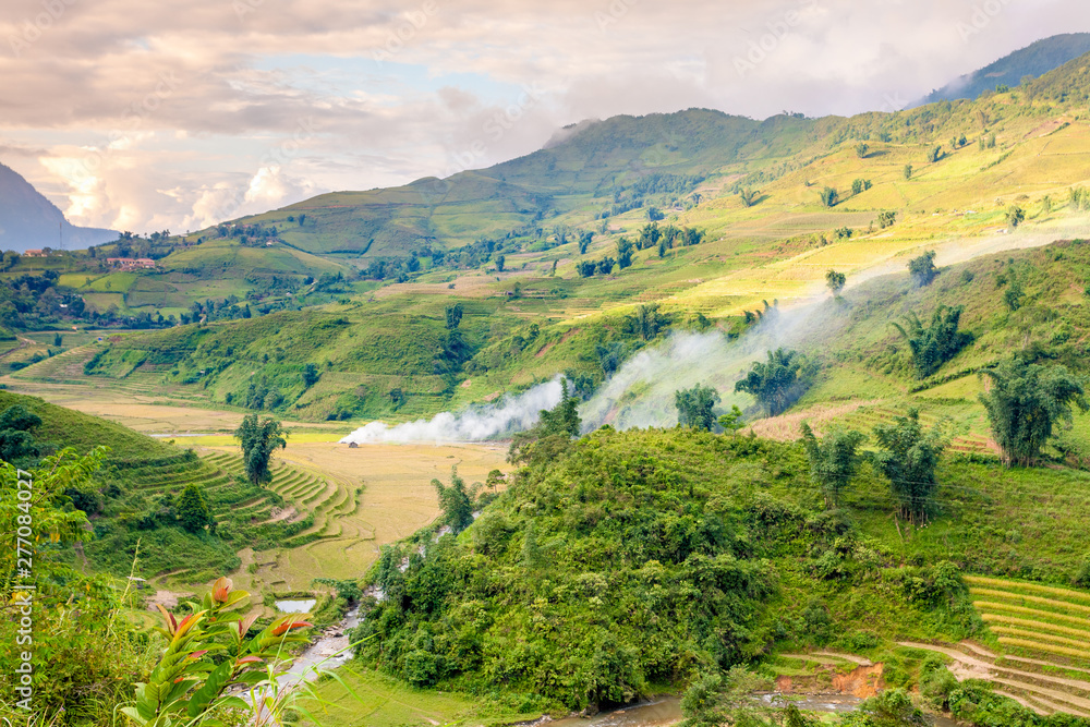 Wall mural golden season in Northwest Vietnam with rice fields terraced