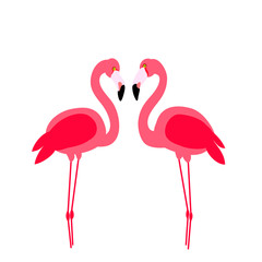  two pink flamingos center white background