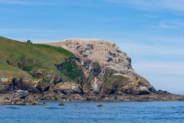 L'île Rouzic