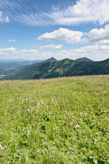 Mountains in Little Fatra, Slovakia