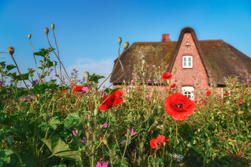 German Frisian house and garden with flowers