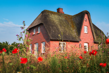Red brick typical Frisian house and thatched roof