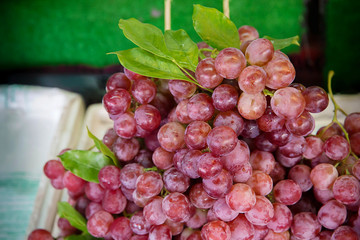 Close up red grape on the shelf in fresh market. healthy fruits for anti oxidant. image for background, wallpaper and copy space.