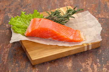 Piece of raw salmon