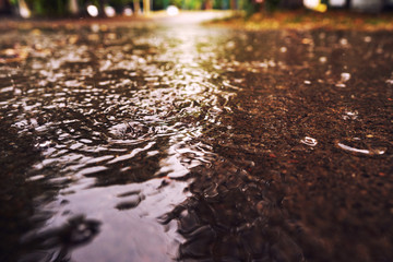 Close-up of a large puddle during rain. On the surface of the water splashes from falling drops.
