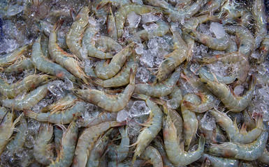 Fresh shrimps on the ice on display and sale in fish shop.  fresh shrimps from top view ready for sale at the market