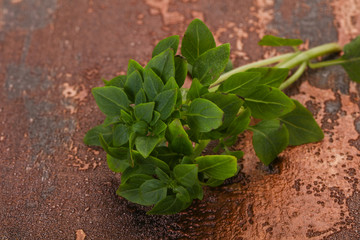 Green Basil leaves