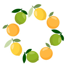Fototapeta na wymiar Citrus vector banner. Summer exotic food in flat style
