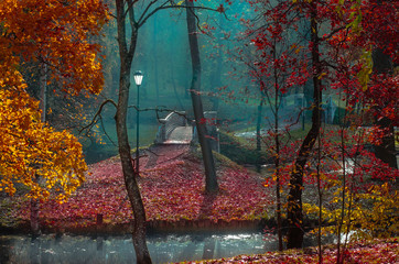 Openwork metal bridges connect the small Islands, covered with a carpet of orange autumn foliage in the autumn Park with fog, painted in bluish tones.