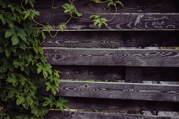 old weathered wood