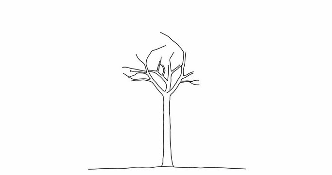 video of the drawing in progress of a tree without leaves