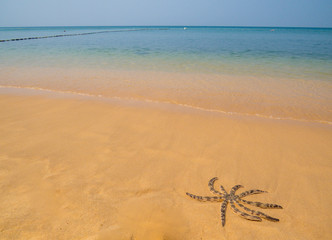 Starfish on Tropical Beach