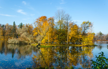 The carpet of yellow leaves covers the ground, trees in gold decoration, blue water in the lake.
