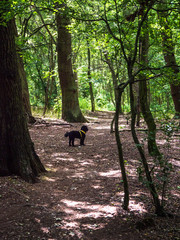 OLYMPUS DIGITAL CAMERA = MY GARDEN