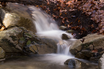 Fototapeta premium Mountain river in Montseny