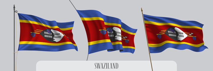Set of Swaziland waving flag on isolated background vector illustration