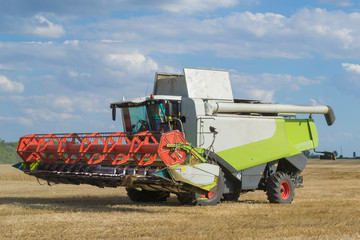 Fototapeta premium Harvesting wheat and barley modern combine.