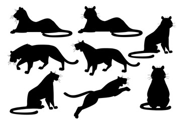 Black silhouette set of adult big red tiger wildlife and fauna theme cartoon animal design flat vector illustration isolated on white background