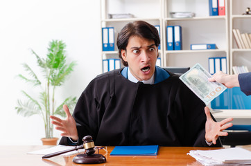 Young woman visiting male lawyer 
