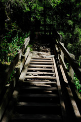 H&ouml;lzerne Treppe im Wald