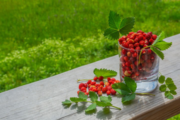 On a wooden surface is a glass of wild strawberries. Nearby scattered a few berries and leaves. Summer nature in the background with blur. Ripe berries are rich in vitamins for a healthy diet.