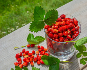 On a wooden surface is a glass of wild strawberries. Nearby scattered a few berries and leaves. Summer nature in the background with blur. Ripe berries are rich in vitamins for a healthy diet.