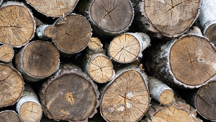 logs. firewood. woodpile close up. wood for fireplace. stack of wood for winter. firewood surface background.