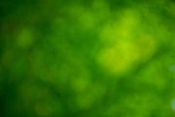 abstract green background