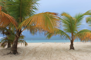 punta cana