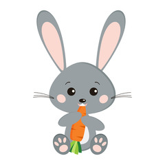 Icon of isolated cute sweet grey bunny rabbit in sitting pose with carrot in paw