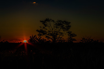 Paisagem