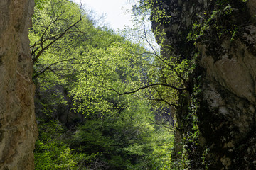 Obraz premium inside mountain gorges in matese park