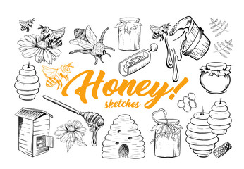 Honey Sketches Set, Bee Hive, Honey Jar, Barrel, Pot, Spoon and Flower Hand Drawn Organic Products for Logo. Black Outline Engraving Elements. Vintage Isolated Vector Illustration