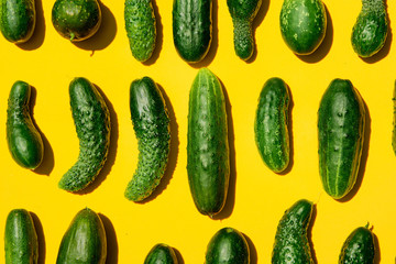Different sizes forms cucumbers pattern on a light yellow background. Copy space. Cucumbers background close-up. Top view. Cucumber harvest. Cucumbers texture wallpaper. Farming, harvesting concept.