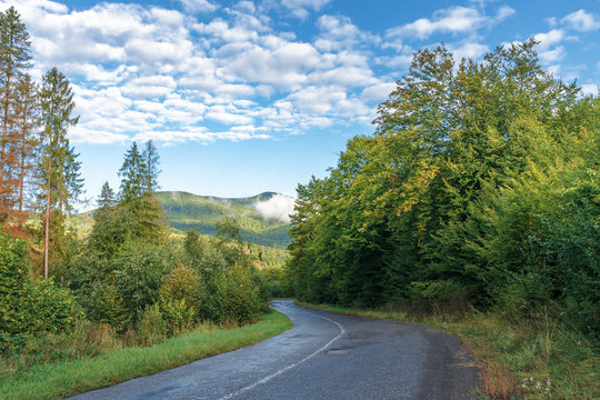 old country road through forest in to mountains. beautiful transportation background in early morning. low cloud on the ridge and hi clouds on the blue sky. wonderful sunny morning