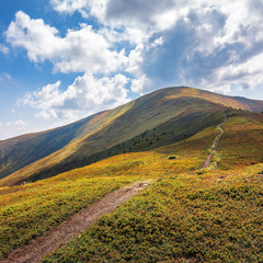 trail uphill through the mountain ridge to the top. sunny august weather with clouds on the blue sky. wide grassy meadows on hills in dappled light. success motivation concept