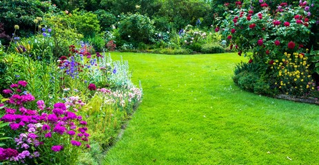 Schöner Blumengarten mit Rasenfläche