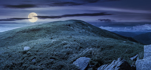 beautiful panorama in mountains at night in full moon light. rocks on the grassy slope. cloud above the summit of a hill. sunny summer weather © Pellinni