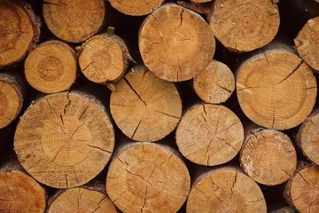 Fotobehang Brandhout textuur Stacked wood logs as texture