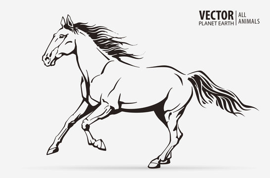 Silhouette of a running horse. Galloping animal. Logo. Champion. Sport. Isolated on a background. Vector illustration