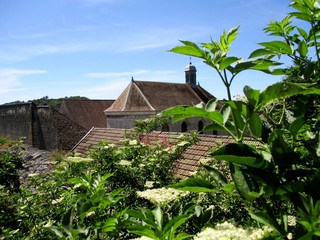 Paysage verdoyant de la citadelle de Besançon depuis les remparts