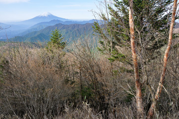 雁ヶ腹摺山より富士山