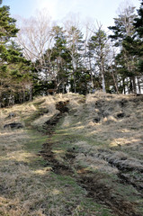 Fototapeta premium 早春の雁ヶ腹摺山の山頂