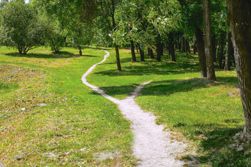 The wide pedestrian track in the park is divided into two narrow