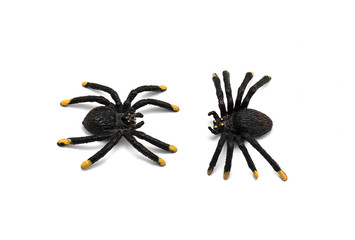 Two plastic Spider Toys isolated on white Background