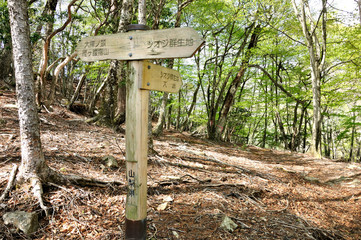 小金沢シオジの森 お弁当広場