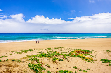 People on deserted tropical beach