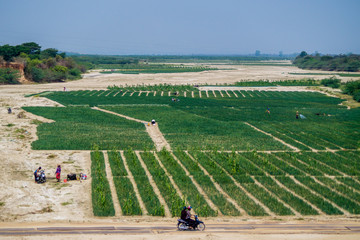 farmer working on a field in asia