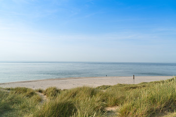 Dune with beach grass.