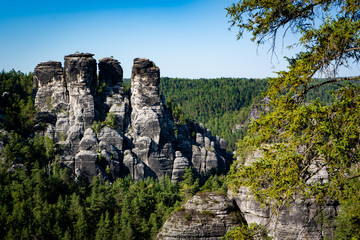 Fototapeta na wymiar rock formation in Saxon Switzerland Germany